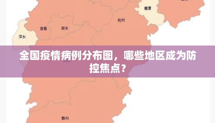 全国疫情病例分布图，哪些地区成为防控焦点？