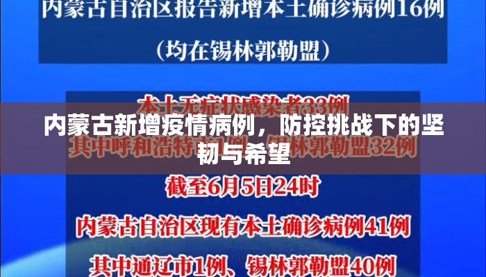 内蒙古新增疫情病例，防控挑战下的坚韧与希望