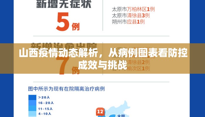 山西疫情动态解析，从病例图表看防控成效与挑战