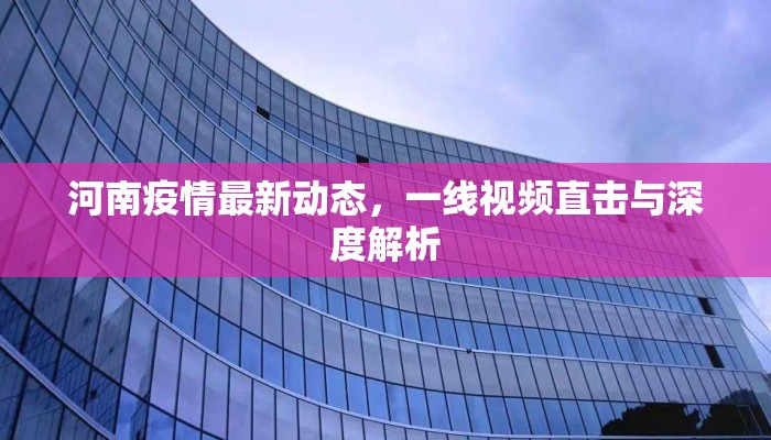 河南疫情最新动态，一线视频直击与深度解析