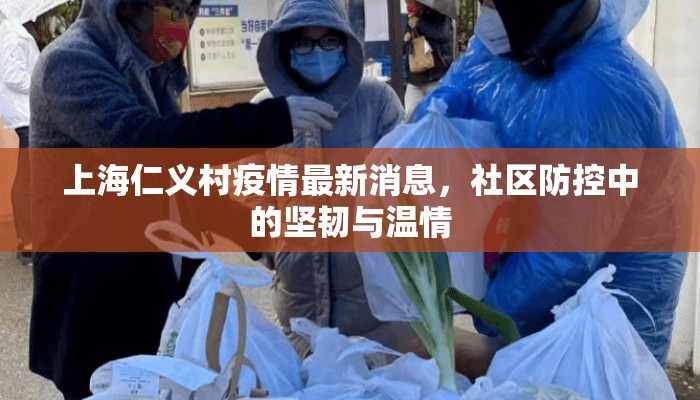 上海仁义村疫情最新消息，社区防控中的坚韧与温情