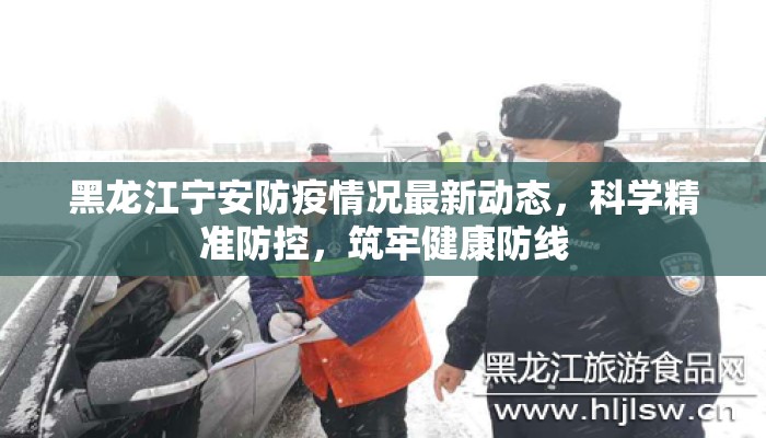黑龙江宁安防疫情况最新动态，科学精准防控，筑牢健康防线