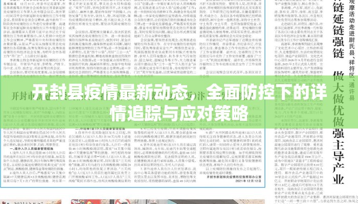 开封县疫情最新动态，全面防控下的详情追踪与应对策略