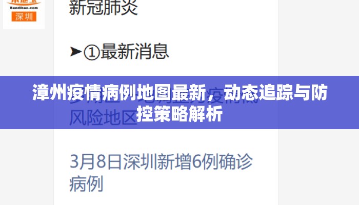 漳州疫情病例地图最新，动态追踪与防控策略解析