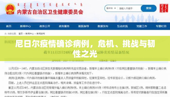 尼日尔疫情确诊病例，危机、挑战与韧性之光