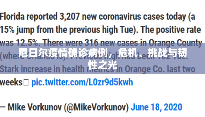 尼日尔疫情确诊病例，危机、挑战与韧性之光