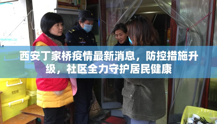 西安丁家桥疫情最新消息，防控措施升级，社区全力守护居民健康