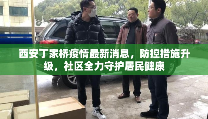 西安丁家桥疫情最新消息，防控措施升级，社区全力守护居民健康