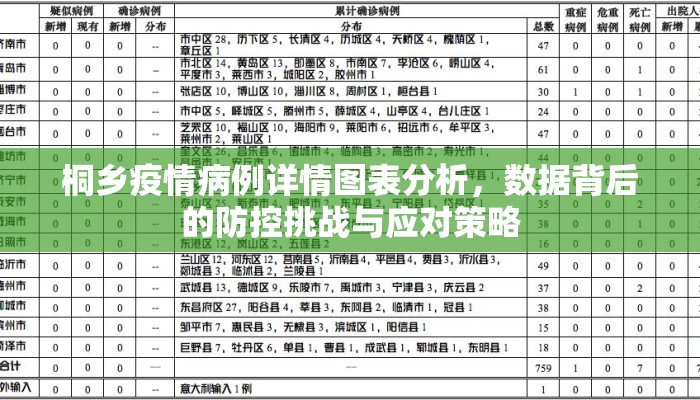 桐乡疫情病例详情图表分析，数据背后的防控挑战与应对策略