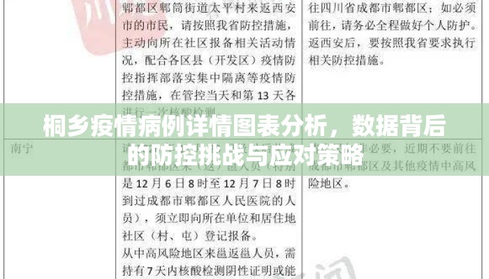 桐乡疫情病例详情图表分析，数据背后的防控挑战与应对策略