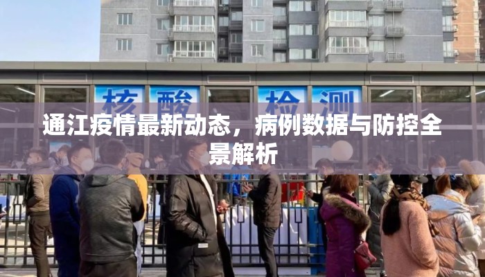 通江疫情最新动态，病例数据与防控全景解析