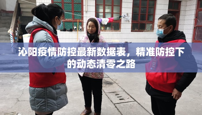 沁阳疫情防控最新数据表，精准防控下的动态清零之路