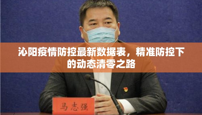 沁阳疫情防控最新数据表，精准防控下的动态清零之路