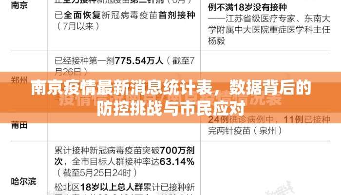 南京疫情最新消息统计表，数据背后的防控挑战与市民应对