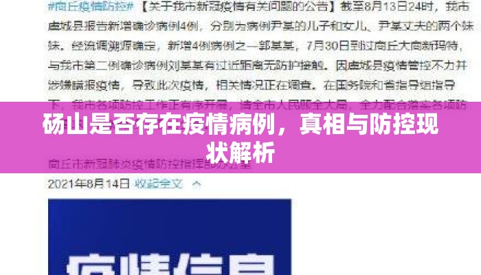砀山是否存在疫情病例，真相与防控现状解析