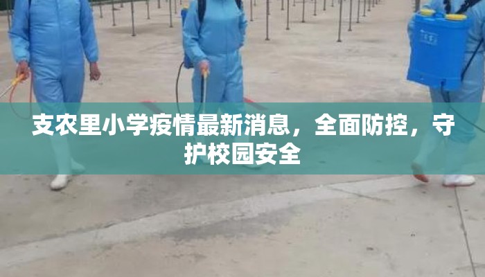 支农里小学疫情最新消息，全面防控，守护校园安全