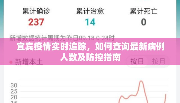 宜宾疫情实时追踪，如何查询最新病例人数及防控指南