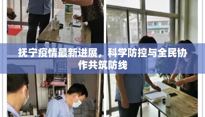 抚宁疫情最新进展，科学防控与全民协作共筑防线