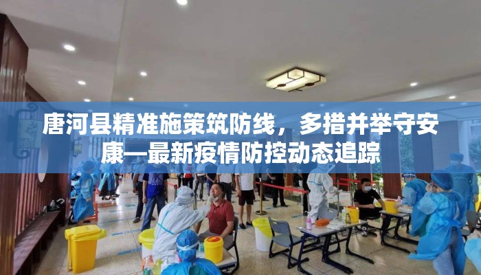 唐河县精准施策筑防线，多措并举守安康—最新疫情防控动态追踪