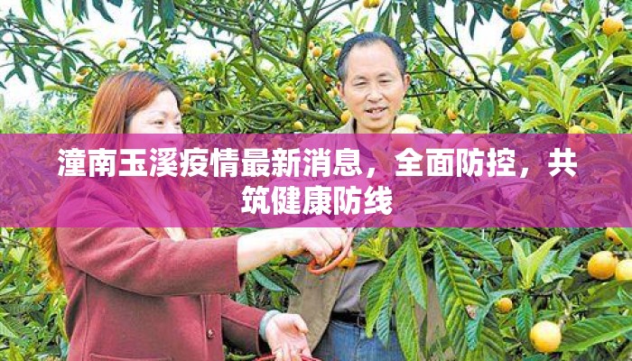 潼南玉溪疫情最新消息，全面防控，共筑健康防线