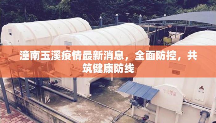 潼南玉溪疫情最新消息，全面防控，共筑健康防线