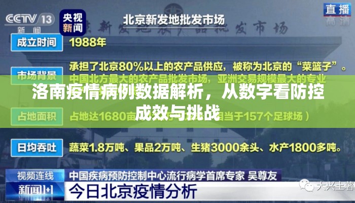 洛南疫情病例数据解析，从数字看防控成效与挑战