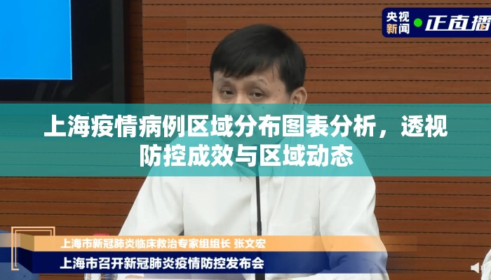 上海疫情病例区域分布图表分析，透视防控成效与区域动态