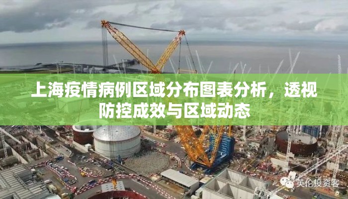 上海疫情病例区域分布图表分析，透视防控成效与区域动态