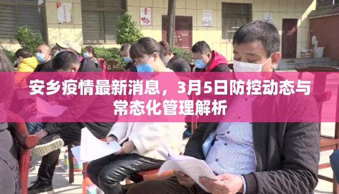 安乡疫情最新消息，3月5日防控动态与常态化管理解析