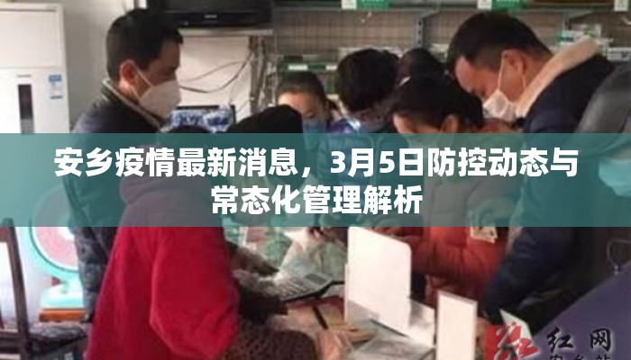 安乡疫情最新消息，3月5日防控动态与常态化管理解析