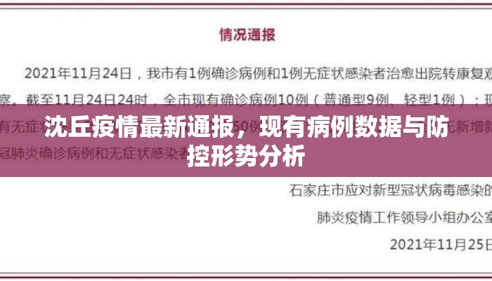 沈丘疫情最新通报，现有病例数据与防控形势分析