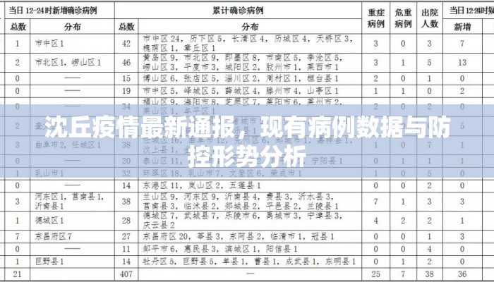 沈丘疫情最新通报，现有病例数据与防控形势分析