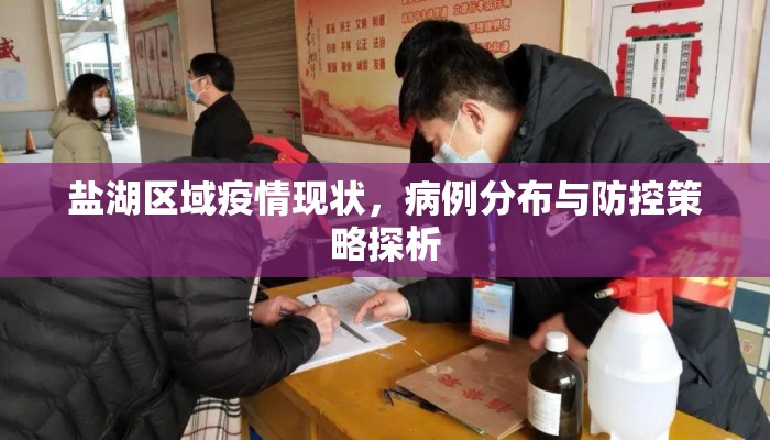盐湖区域疫情现状，病例分布与防控策略探析