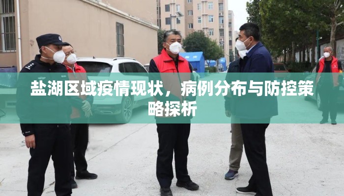 盐湖区域疫情现状，病例分布与防控策略探析