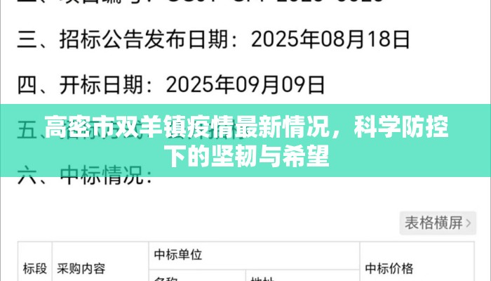 高密市双羊镇疫情最新情况，科学防控下的坚韧与希望