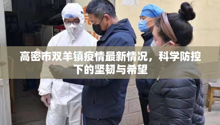 高密市双羊镇疫情最新情况，科学防控下的坚韧与希望