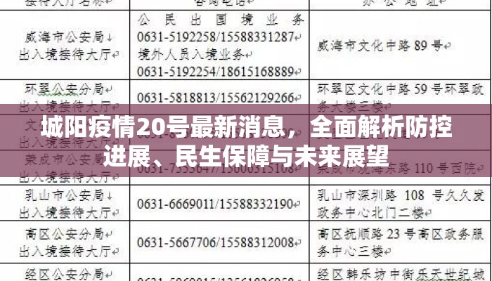 城阳疫情20号最新消息，全面解析防控进展、民生保障与未来展望