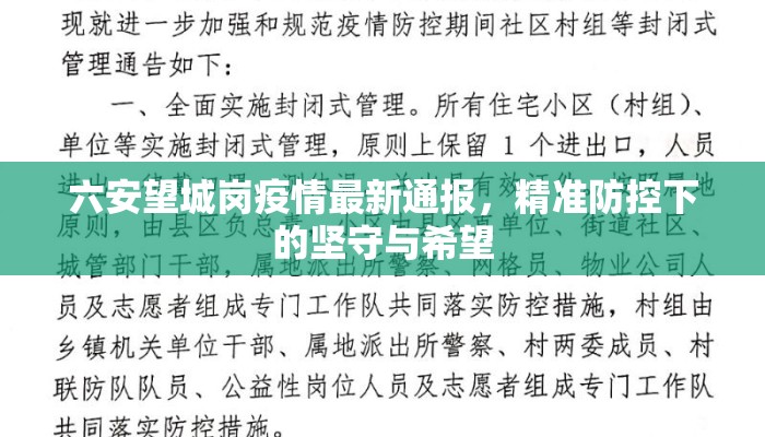 六安望城岗疫情最新通报，精准防控下的坚守与希望