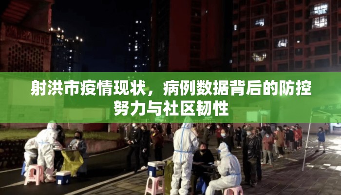 射洪市疫情现状，病例数据背后的防控努力与社区韧性