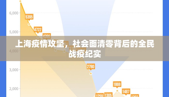 上海疫情攻坚，社会面清零背后的全民战疫纪实