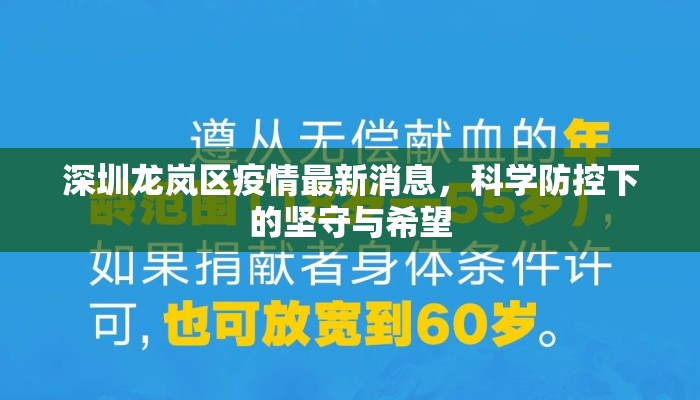 深圳龙岚区疫情最新消息,科学防控下的坚守与希望 深圳龙岚区疫情最新消息,科学防控下的坚守与希望