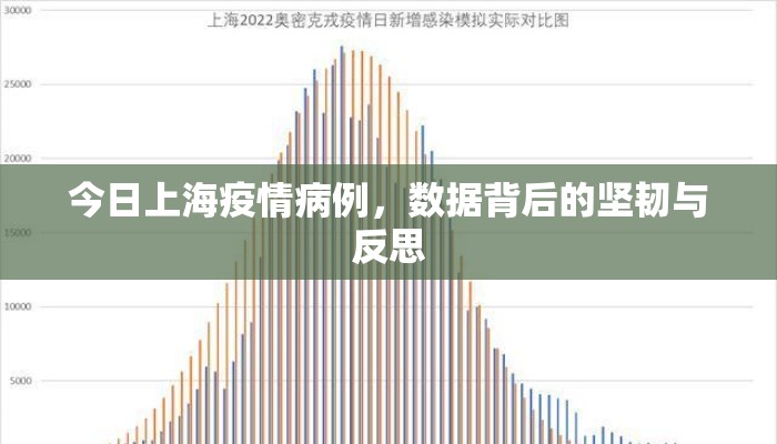 今日上海疫情病例,数据背后的坚韧与反思 今日上海疫情病例,数据背后的坚韧与反思