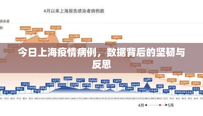 今日上海疫情病例,数据背后的坚韧与反思 今日上海疫情病例,数据背后的坚韧与反思