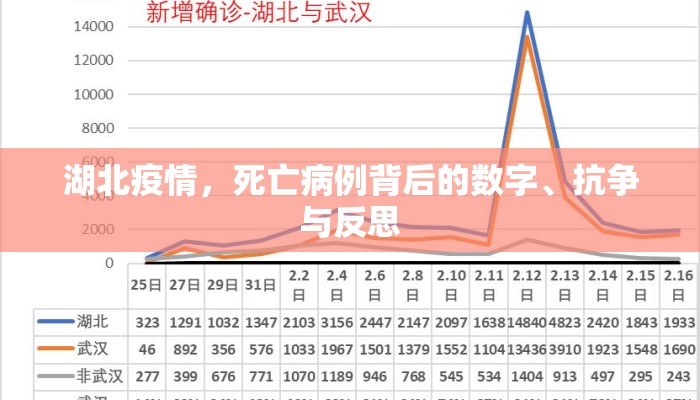 湖北疫情，死亡病例背后的数字、抗争与反思