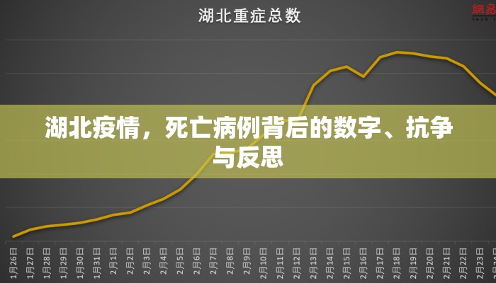 湖北疫情，死亡病例背后的数字、抗争与反思
