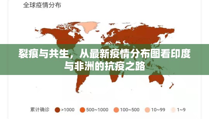 裂痕与共生,从最新疫情分布图看印度与非洲的抗疫之路 裂痕与共生,从最新疫情分布图看印度与非洲的抗疫之路