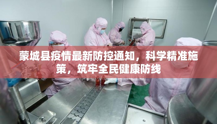 蒙城县疫情最新防控通知,科学精准施策,筑牢全民健康防线 蒙城县疫情最新防控通知,科学精准施策,筑牢全民健康防线