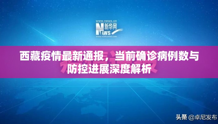 西藏疫情最新通报,当前确诊病例数与防控进展深度解析 西藏疫情最新通报,当前确诊病例数与防控进展深度解析