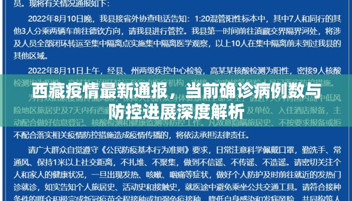 西藏疫情最新通报,当前确诊病例数与防控进展深度解析 西藏疫情最新通报,当前确诊病例数与防控进展深度解析