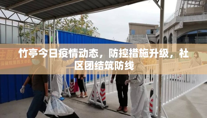 竹亭今日疫情动态,防控措施升级,社区团结筑防线 竹亭今日疫情动态,防控措施升级,社区团结筑防线